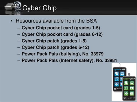 Cyber Chip Resources .
